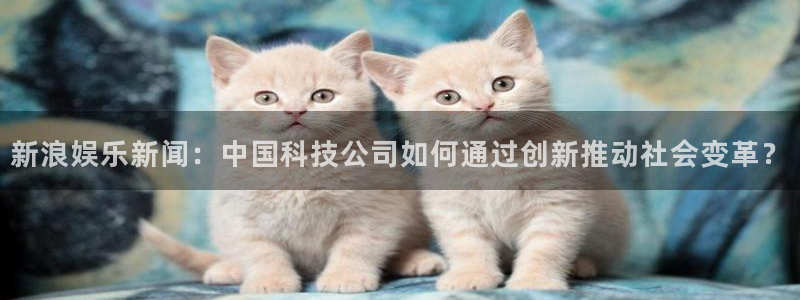 泰达娱乐官网版下载链接：新浪娱乐新闻：中国科技公司如何通过创新推动社会变革？