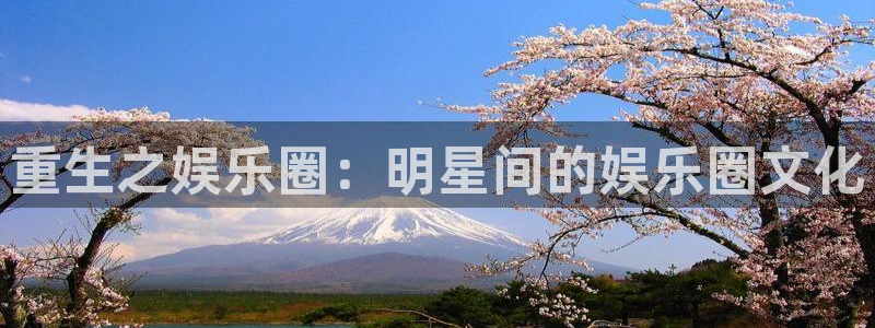 上海泰达娱乐汽车电子有限公司：重生之娱乐圈：明星间的娱乐圈文化