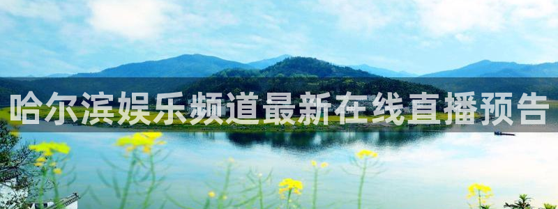 泰达娱乐：哈尔滨娱乐频道最新在线直播预告
