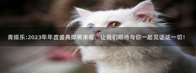 泰达娱乐加拿大app预测：青娱乐:2023年年度盛典即将来临，让我们期待与你一起