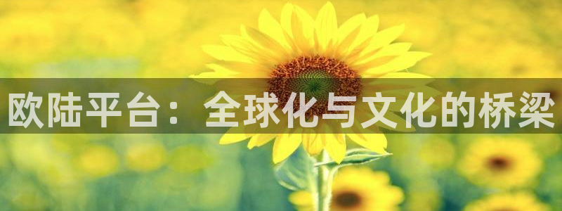 泰达娱乐app 是什么：欧陆平台：全球化与文化的桥梁