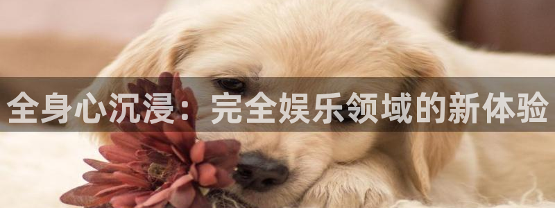 泰达娱乐ccmpc：全身心沉浸：完全娱乐领域的新体验