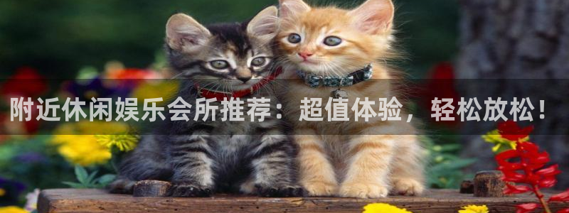 泰达娱乐2平台登录：附近休闲娱乐会所推荐：超值体验，轻松放松！