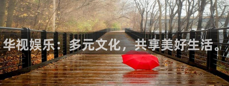 泰达娱乐注册网页版：华视娱乐：多元文化，共享美好生活。