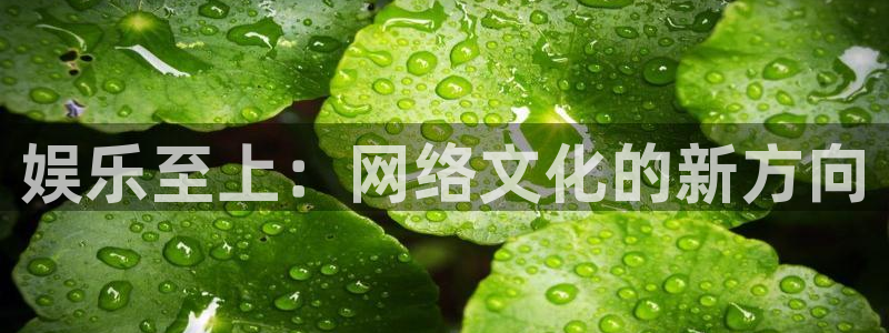泰达娱乐平台官网入口下载：娱乐至上：网络文化的新方向