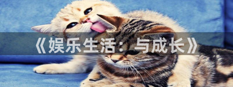 泰达娱乐软件：《娱乐生活：与成长》