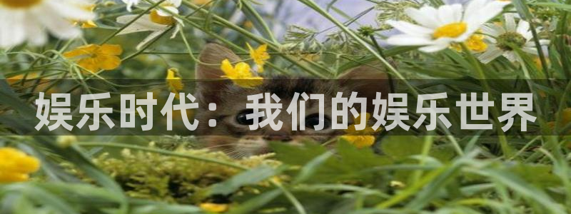泰达娱乐体育官网登录：娱乐时代：我们的娱乐世界