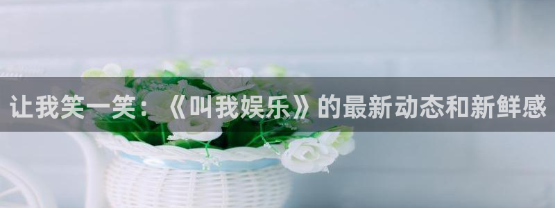 泰达娱乐平台招商：让我笑一笑：《叫我娱乐》的最新动态和新鲜感