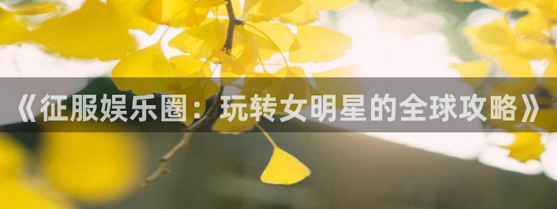 泰达娱乐3：《征服娱乐圈：玩转女明星的全球攻略》