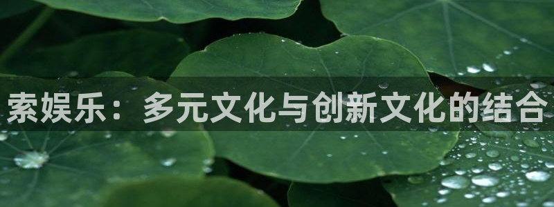 泰达娱乐注册网页版：索娱乐：多元文化与创新文化的结合