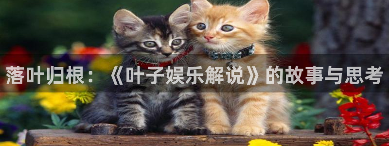 泰达娱乐手机版下载：落叶归根：《叶子娱乐解说》的故事与思考
