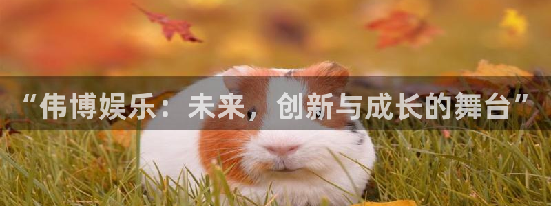 泰达娱乐3官网登录：“伟博娱乐：未来，创新与成长的舞台”