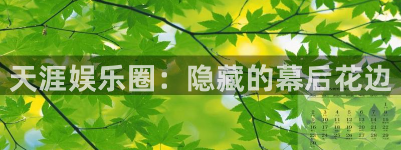 泰达娱乐官网地址：天涯娱乐圈：隐藏的幕后花边