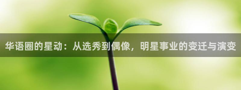 泰达娱乐体育凯捷平台招商：华语圈的星动：从选秀到偶像，明星事业的变迁与演变