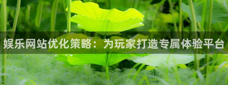 泰达娱乐下载官网入口在哪：娱乐网站优化策略：为玩家打造专属体验平台