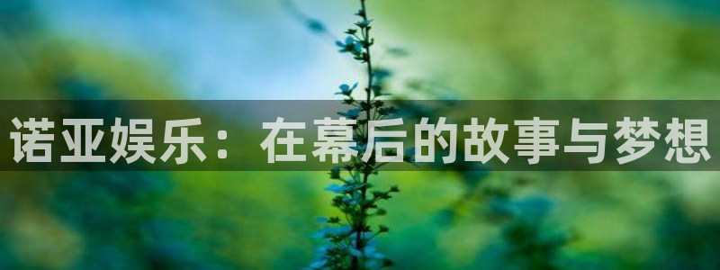 泰达娱乐放水时间：诺亚娱乐：在幕后的故事与梦想