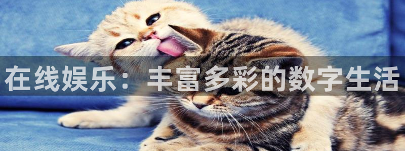泰达娱乐平台官网登录入口：在线娱乐：丰富多彩的数字生活