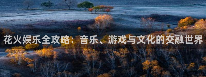 泰达娱乐vk：花火娱乐全攻略：音乐、游戏与文化的交融世界