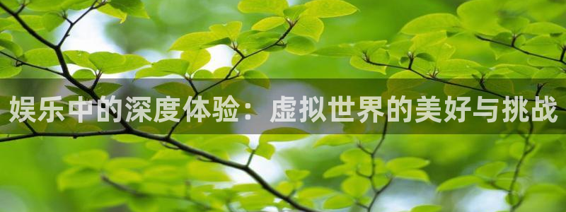 泰达娱乐5招商：娱乐中的深度体验：虚拟世界的美好与挑战