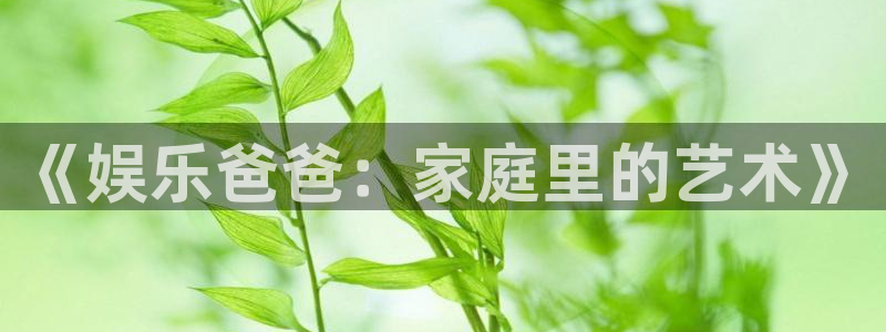 泰达娱乐f平台注册：《娱乐爸爸：家庭里的艺术》