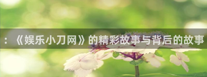 泰达娱乐注册链接入口：：《娱乐小刀网》的精彩故事与背后的故事