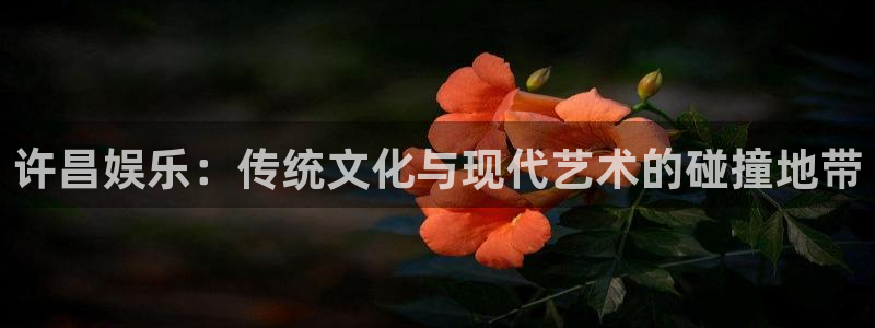 泰达娱乐凯捷开号链接：许昌娱乐：传统文化与现代艺术的碰撞地带