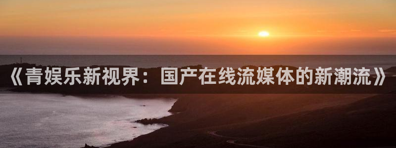 泰达娱乐主管：《青娱乐新视界：国产在线流媒体的新潮流》
