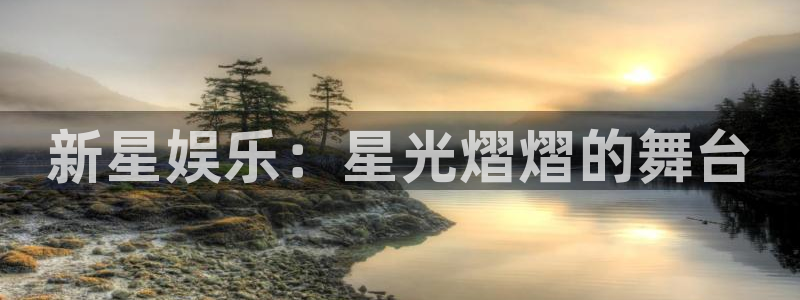 泰达娱乐赏金女王：新星娱乐：星光熠熠的舞台