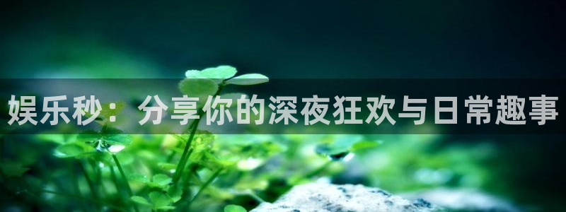 泰达娱乐体育凯捷代理注册：娱乐秒：分享你的深夜狂欢与日常趣事
