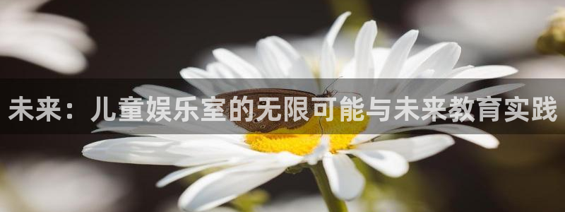 泰达娱乐集团股票：未来：儿童娱乐室的无限可能与未来教育实践