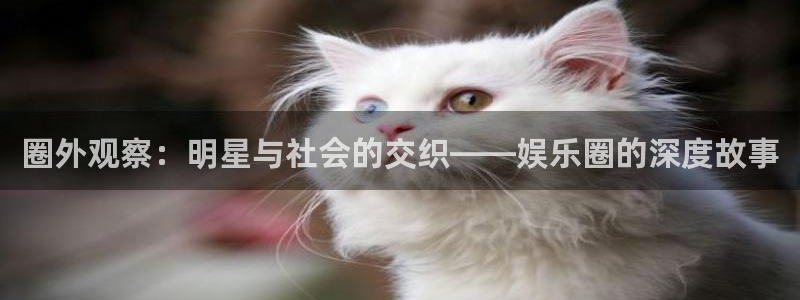 泰达娱乐平台链接：圈外观察：明星与社会的交织——娱乐圈的深度故事
